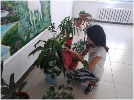 Экосағат 2019