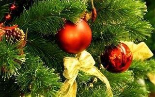 Жаңа жыл 2020 (әкімшілік шырша)