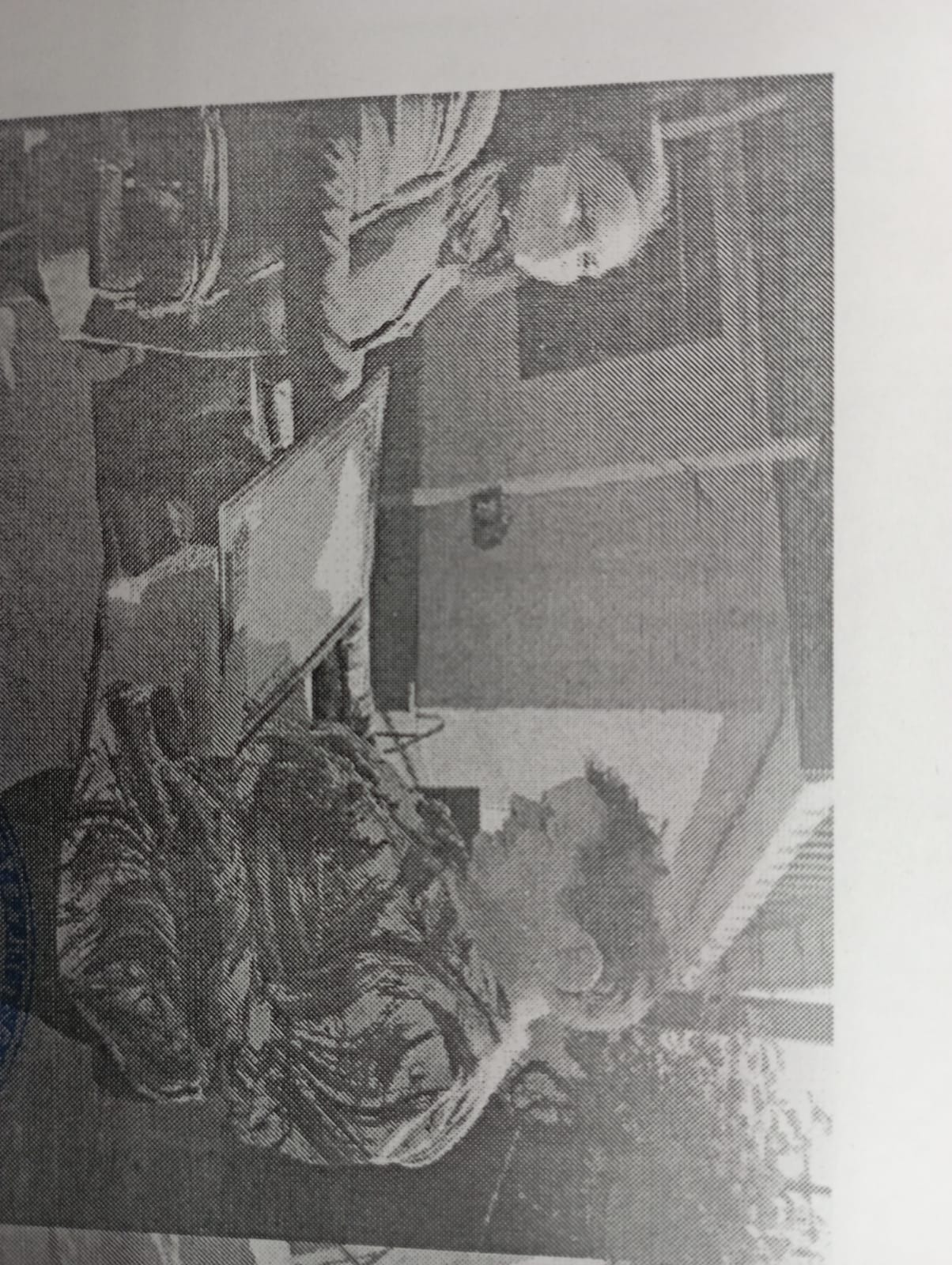 29 қазан- «Қамқоршы күні» туралы  Мәлімет